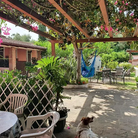 La Capannina Cilento Cam 12 בית הארחה San Marco di Castellabate