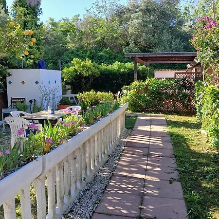 La Capannina Cilento Cam 12 Гостевой дом San Marco di Castellabate